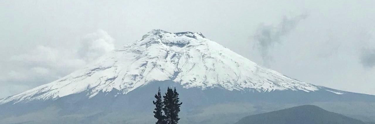 rgabelaa's profile banner image