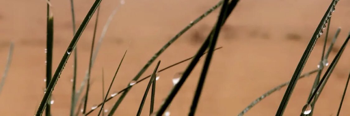 bandr704's profile banner image