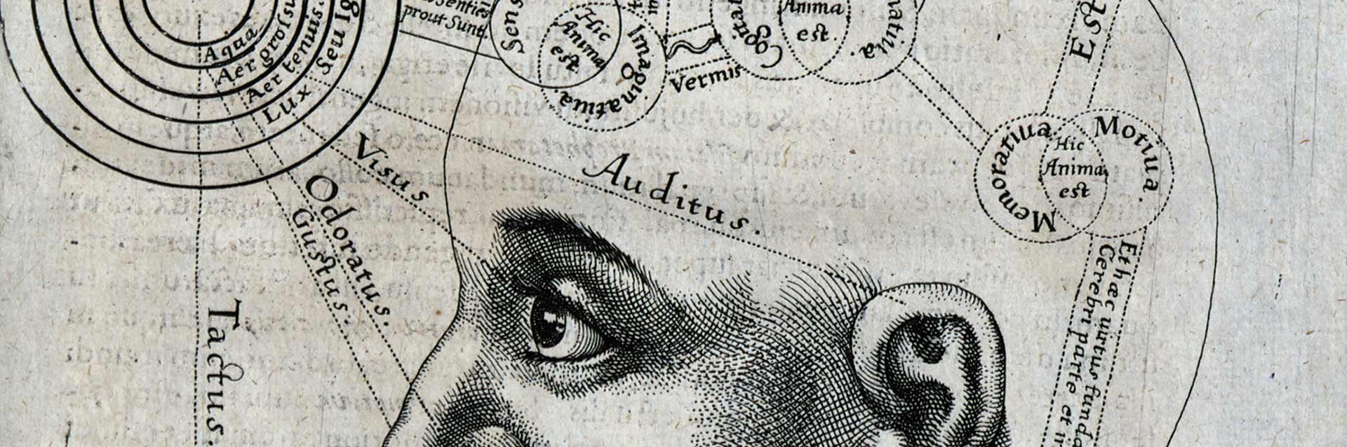 Embassy of the Free Mind banner