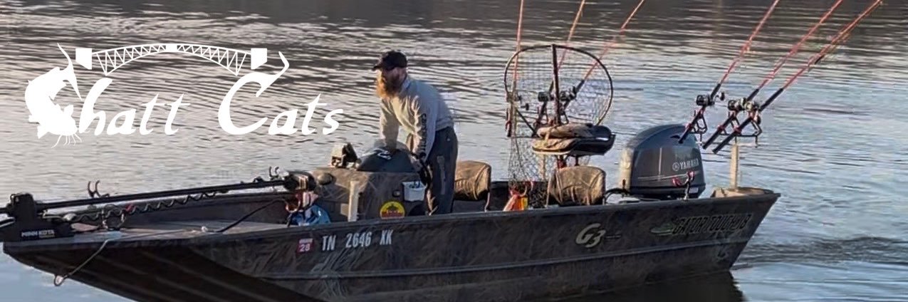 ChattCats's profile banner image