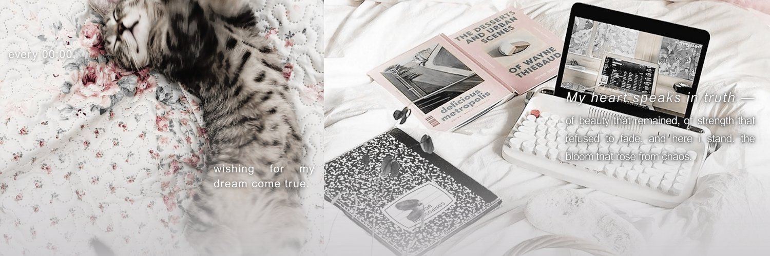enamci's profile banner image