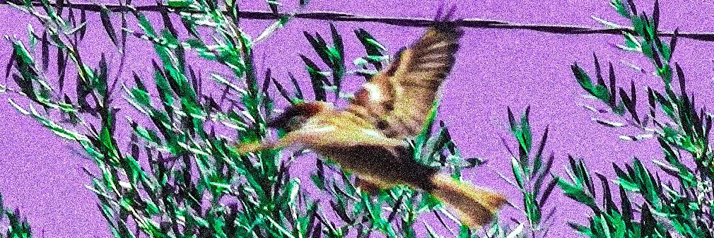 yeikdello's profile banner image