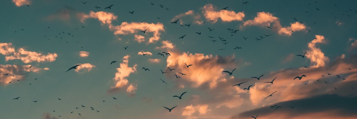 leticiaaa_2000's profile banner image