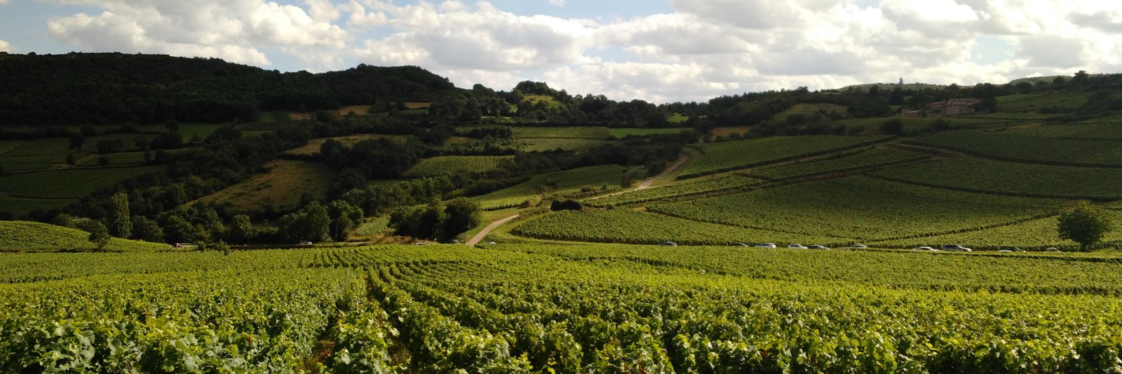 chailloux71's profile banner image