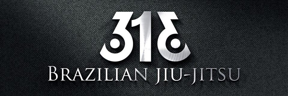 313Brazilianjiujitsu banner