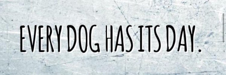 SilviaStipe's profile banner image