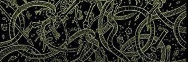 aliisalman_'s profile banner image