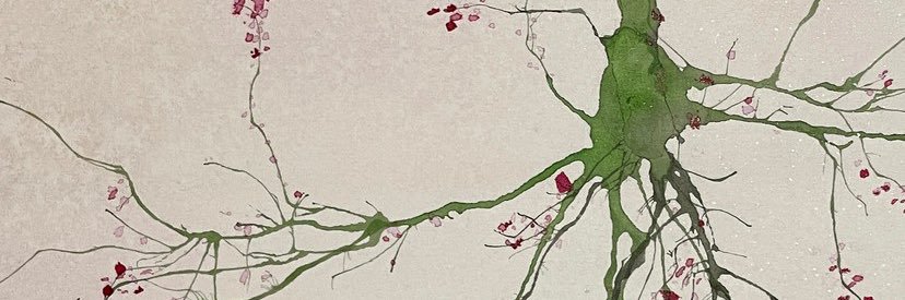 Jorge Martínez Armas 🇪🇨 banner