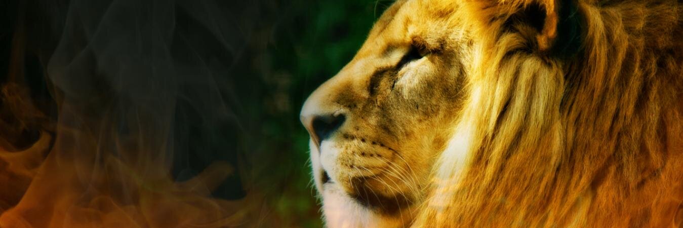 chathudaraj's profile banner image