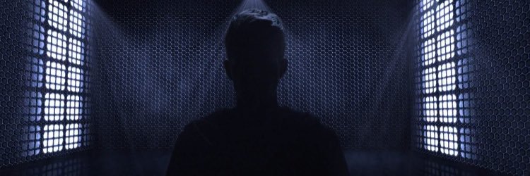 Rein van Duivenboden banner