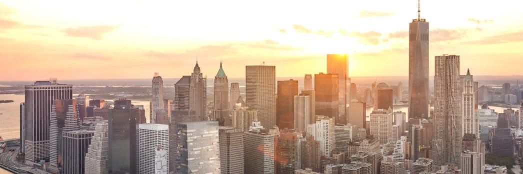 Brigitte Dale banner