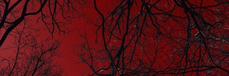 𝑾𝑰𝑫𝑨𝑳𝑮𝑶 ᛃ 🆆🅸🅻🅳 - #ギア5 banner