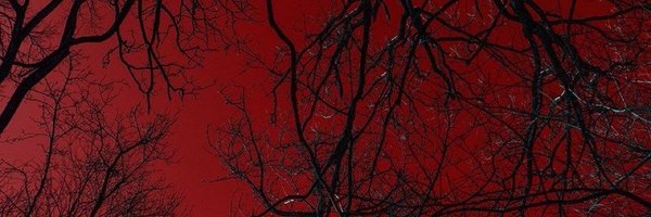 Widalgo Profile Banner