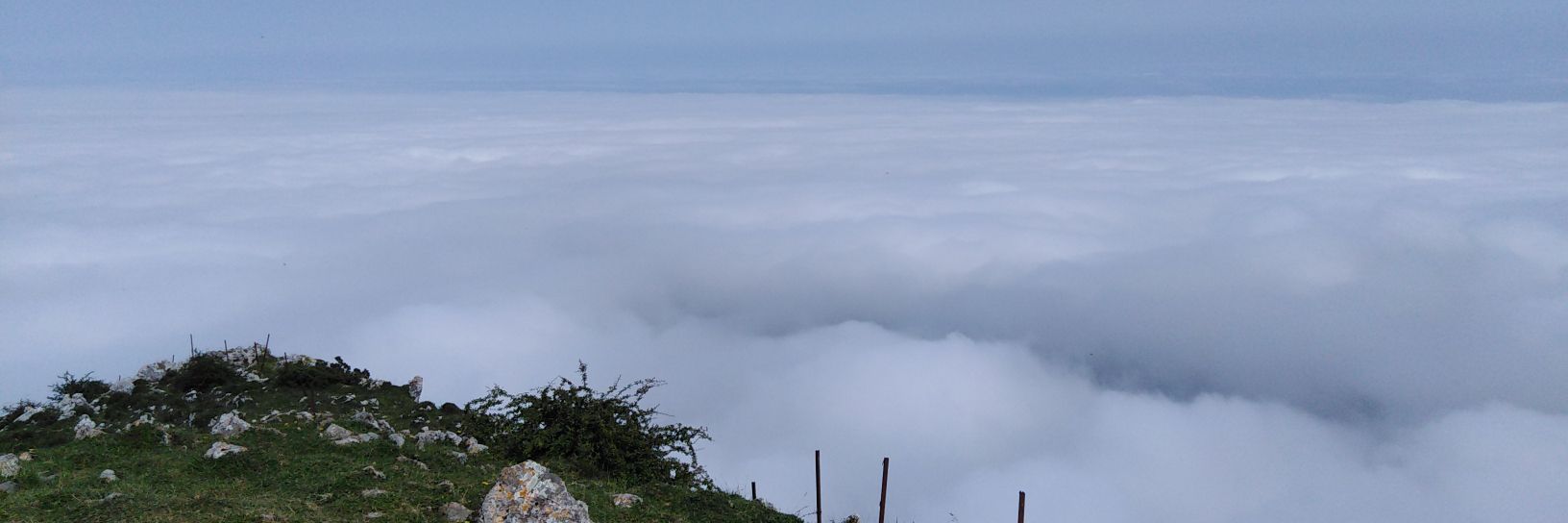 Anguren banner