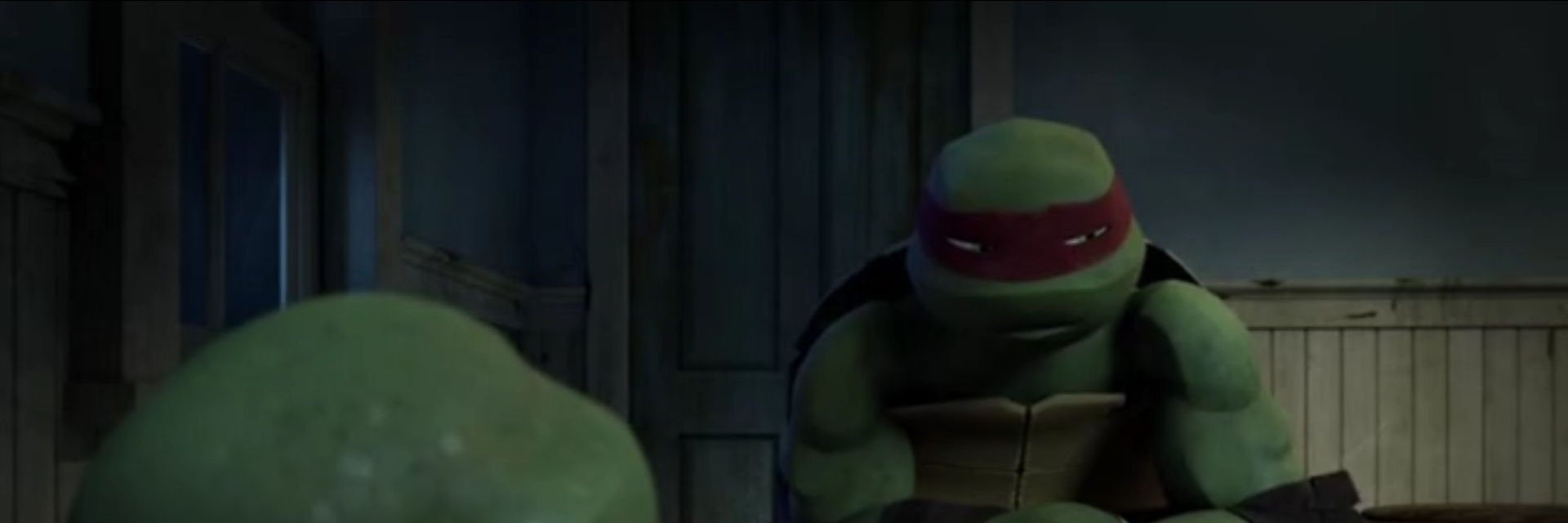 turtle_Raph's profile banner image