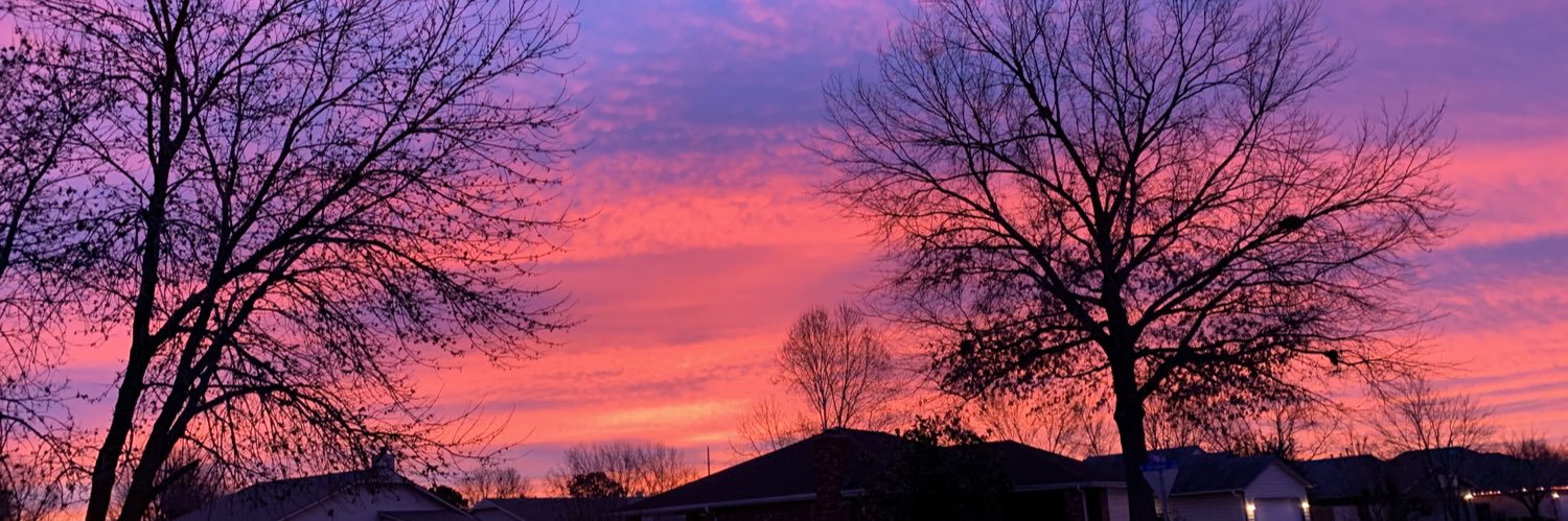 sarahliebman's profile banner image