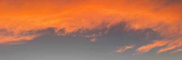 mattyreed1 Profile Banner