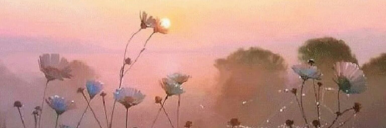 Srta_Ennes's profile banner image