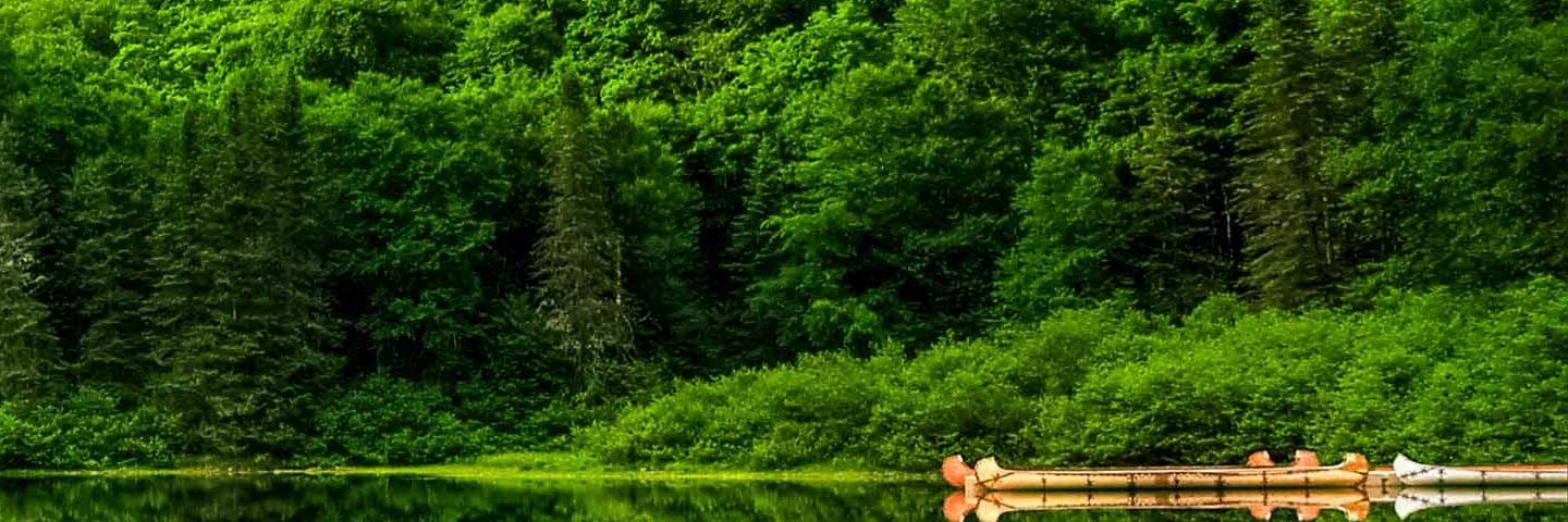 connect2meYar's profile banner image