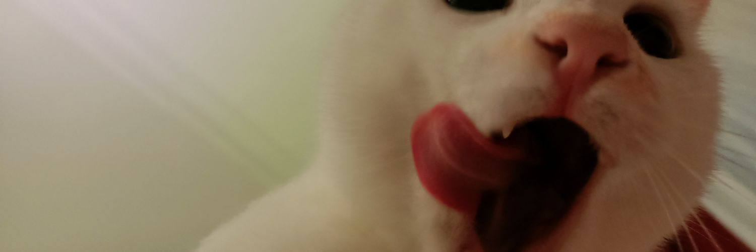 nigarabu's profile banner image
