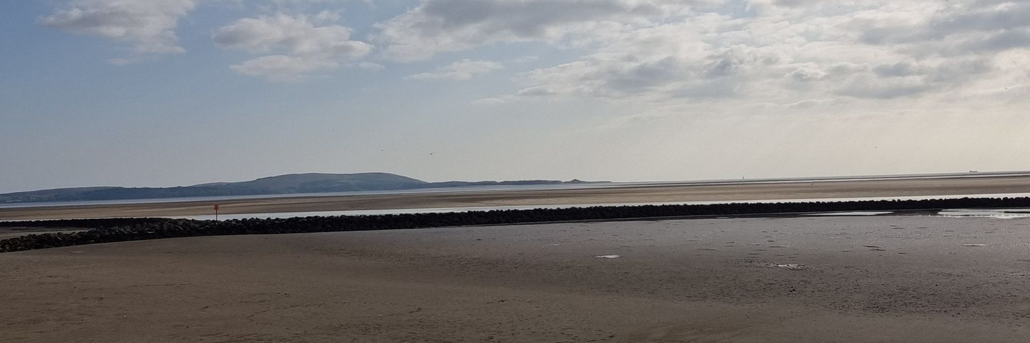 Christopher Norman banner