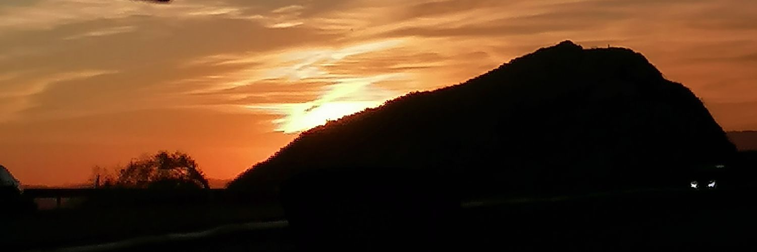 carol10dic's profile banner image