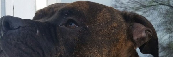 caldwell_corey Profile Banner