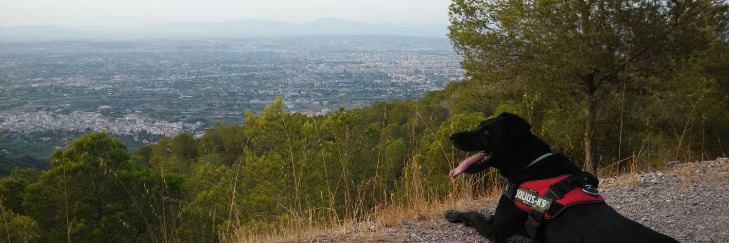 AlejandroLR_'s profile banner image