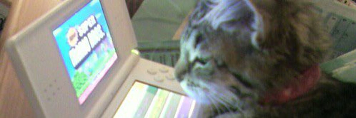 mune ִֶָ࣪☾. banner