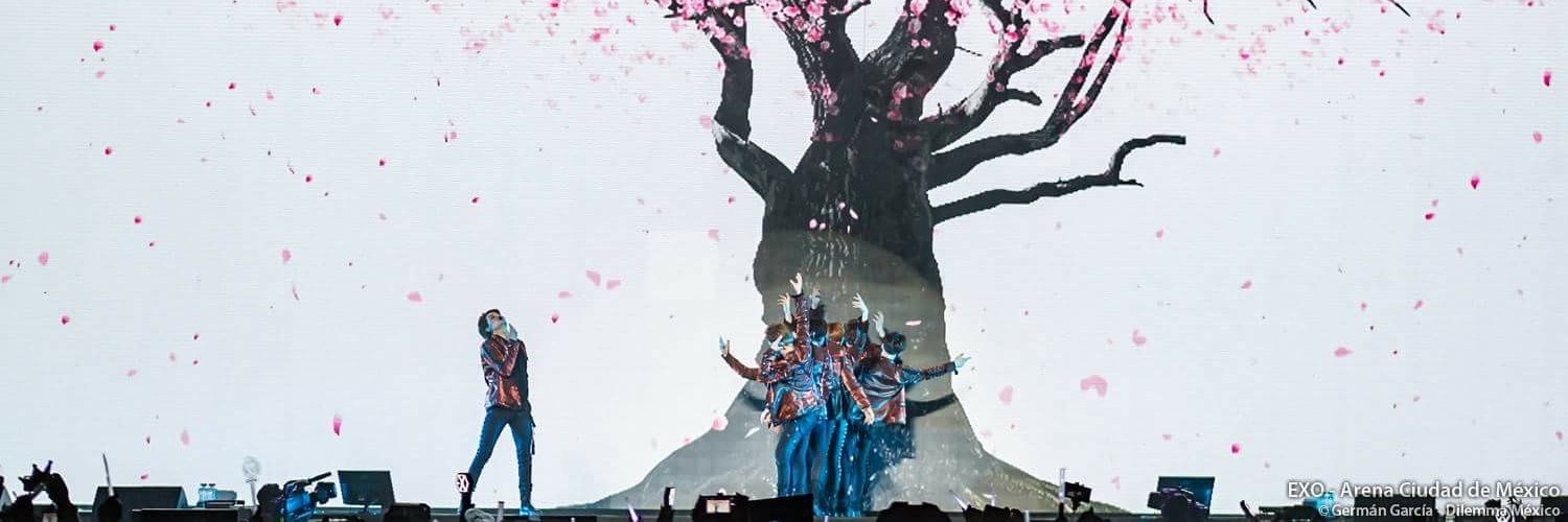 LuciaRodzz's profile banner image