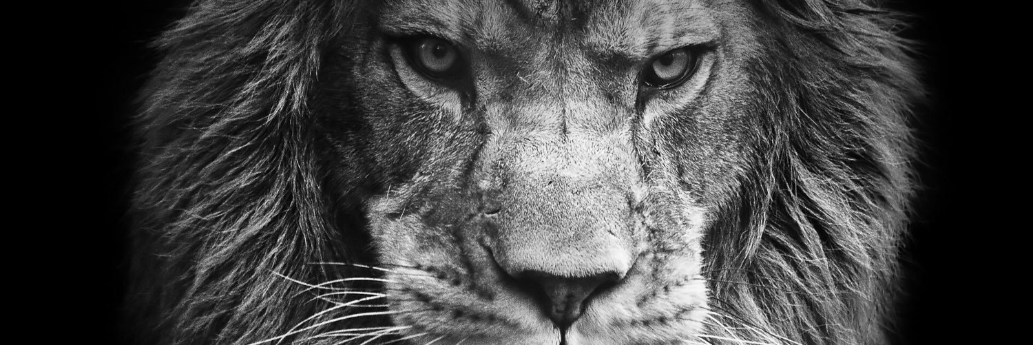 Abboudyhunter's profile banner image