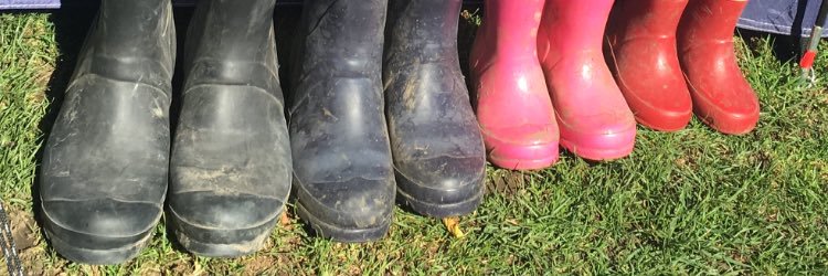 chloefirth231's profile banner image