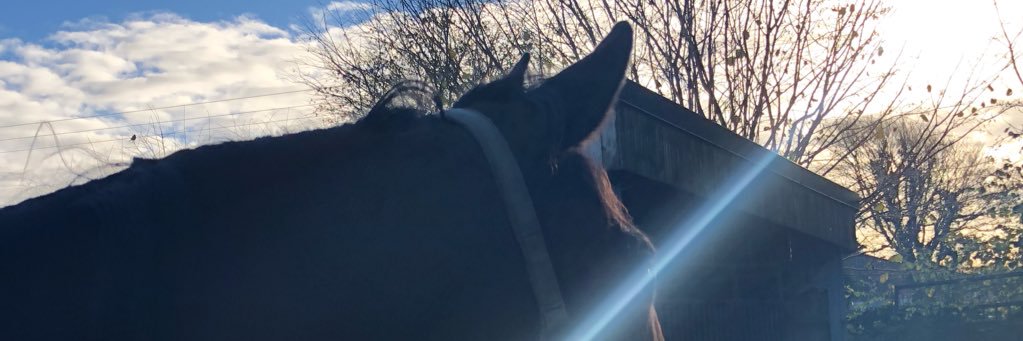 fmfrvi's profile banner image
