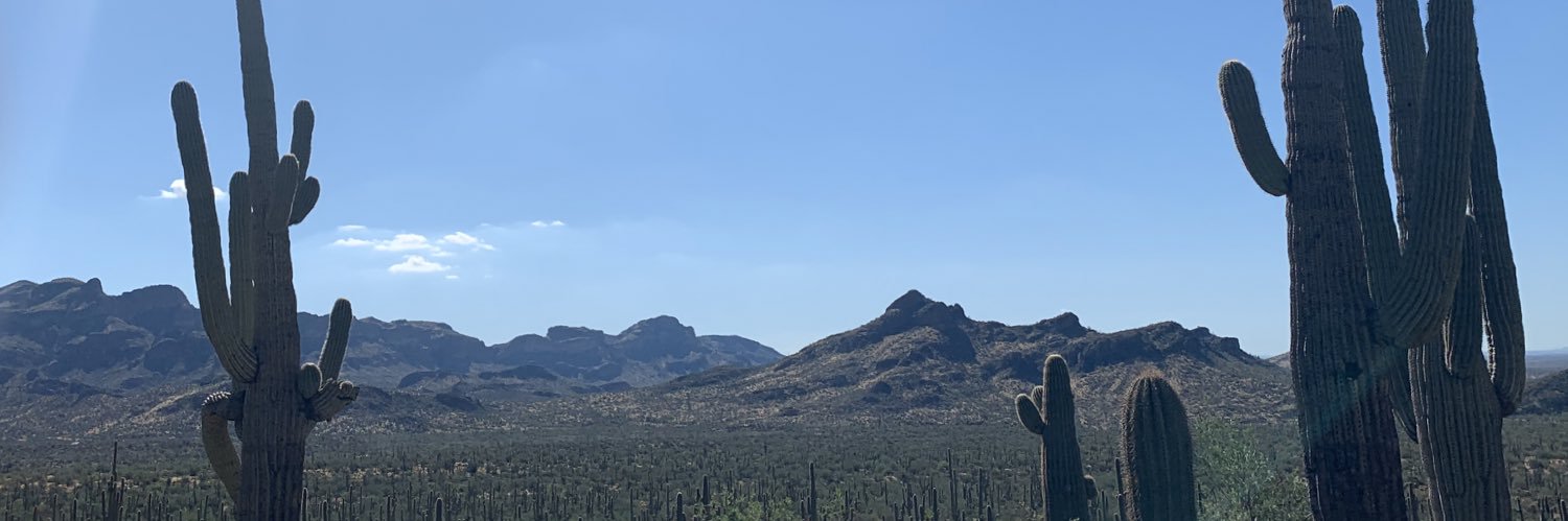 laneyklar's profile banner image