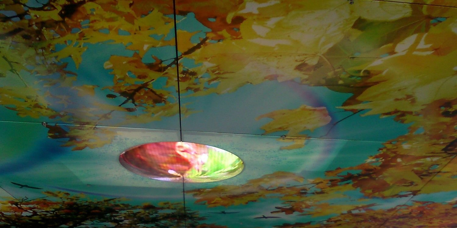 marc di michele banner