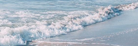 Jess Morrison banner