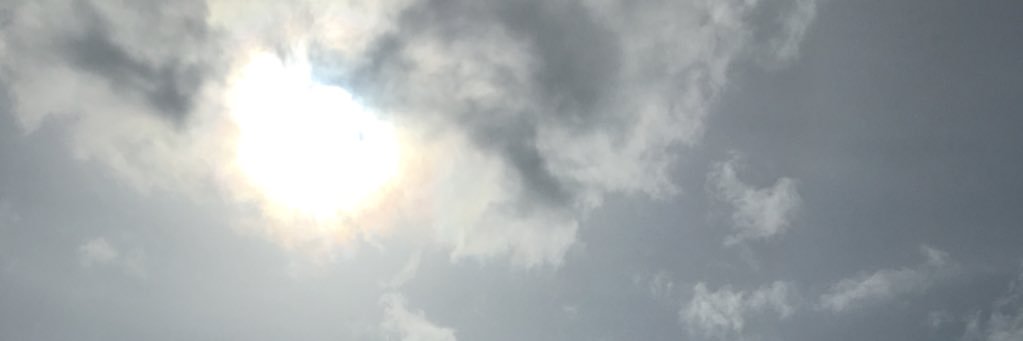 CarolineFrewin's profile banner image