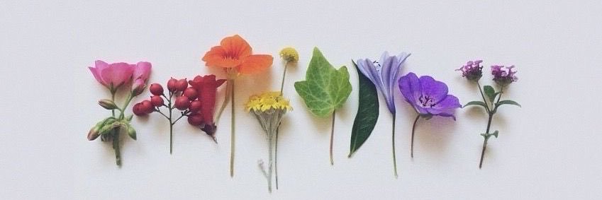 Tuptubu's profile banner image