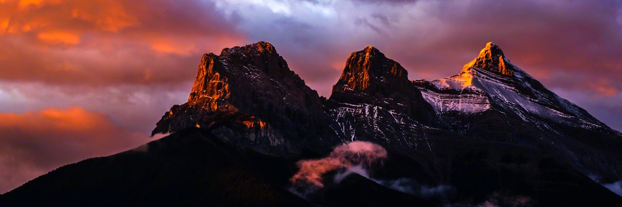 Cougarellah's profile banner image