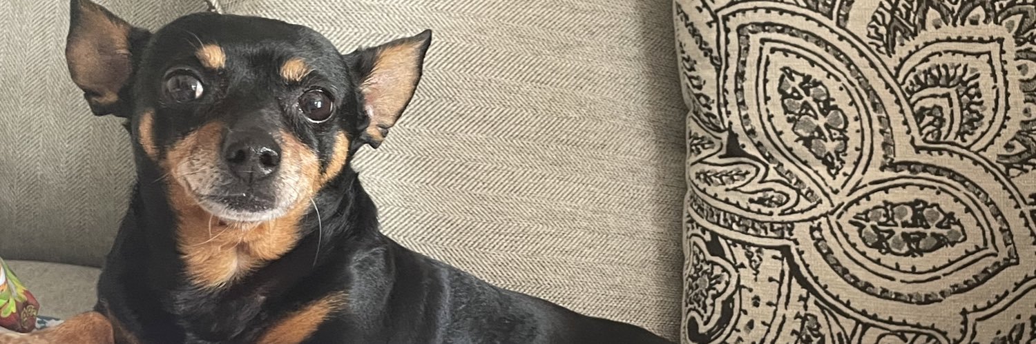 altj0se's profile banner image