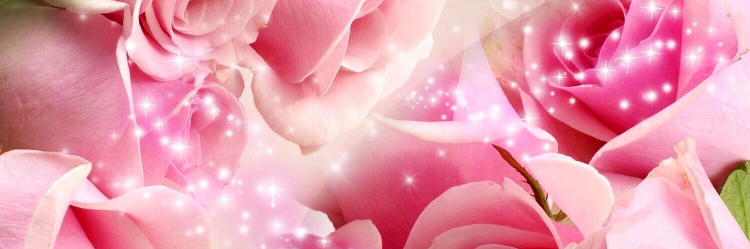 CarleyellaB's profile banner image