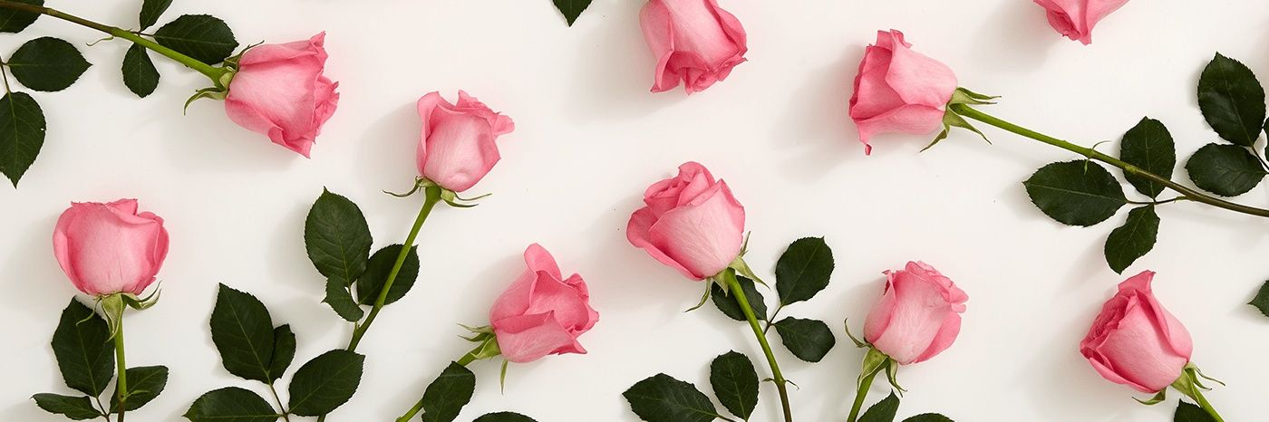 Miss L banner