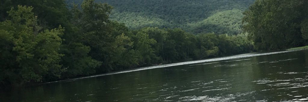 JlynnShepard's profile banner image