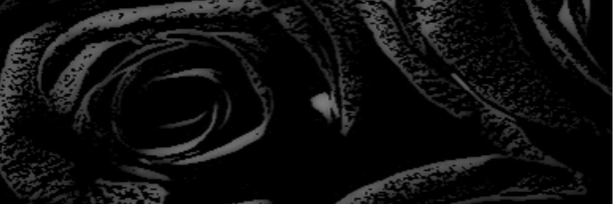 rosayyyroseee's profile banner image