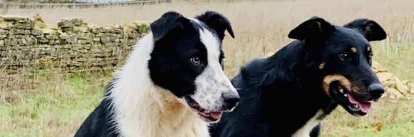 Abi Beynon-brown banner