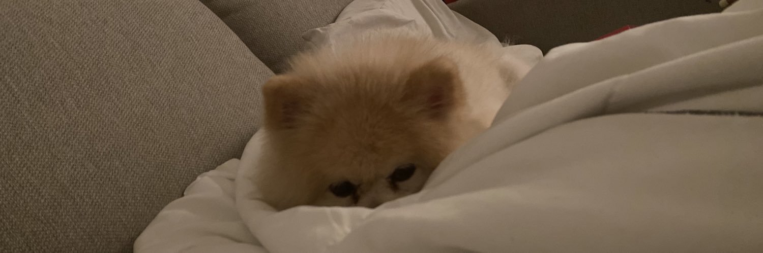 weeitzR0XY's profile banner image