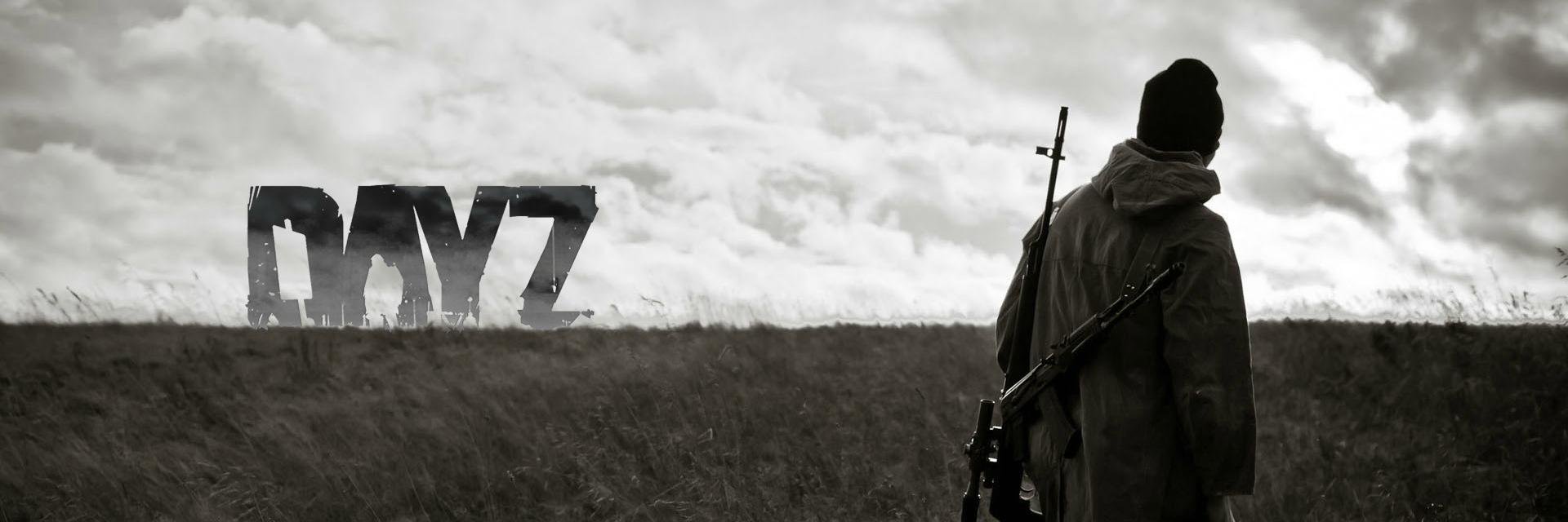 DayZ_Ceasefire's profile banner image