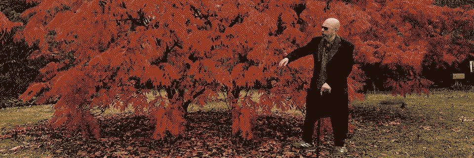 LSallenave's profile banner image