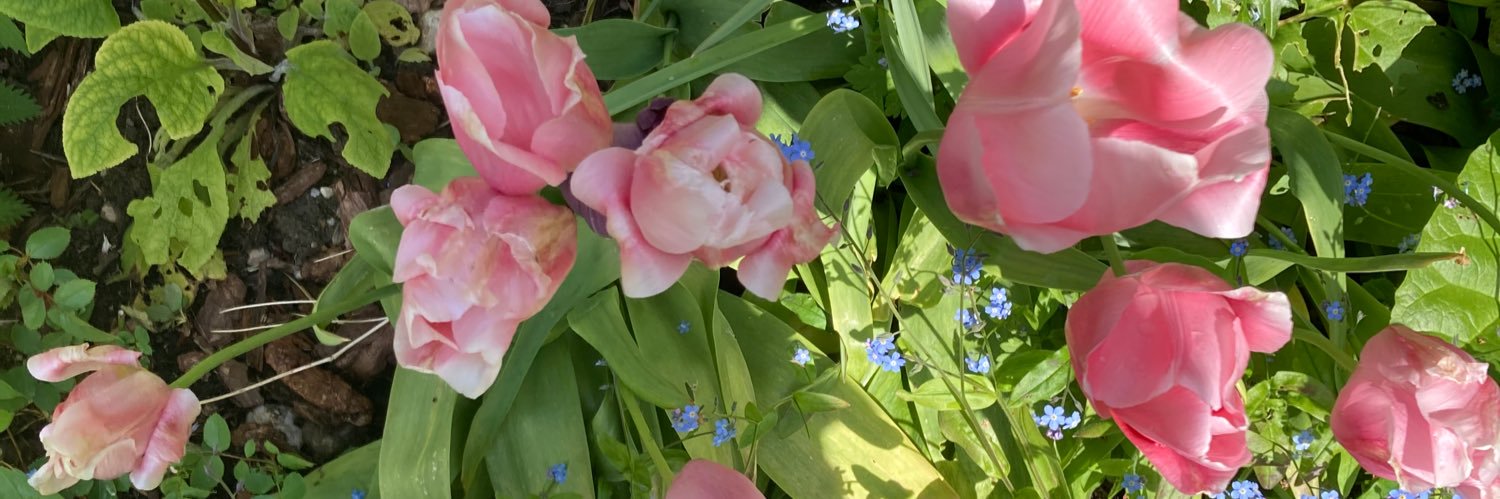 Wychwoodgirl 🇬🇧🇫🇷🇪🇺 🍾🥂 banner