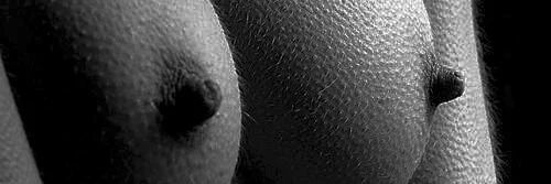 tbird_247's profile banner image